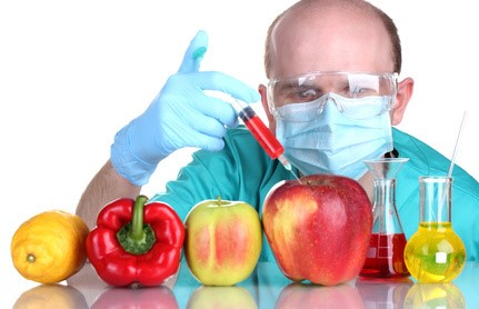 GMO Scientist