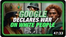 Screenshot 11google war on whites m