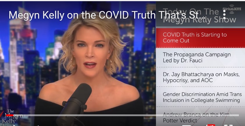 Screenshot 14megyn kelly