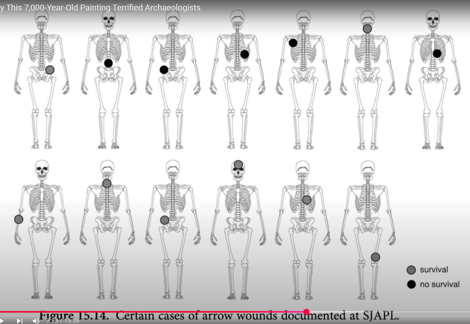 Screenshot 1arrow wounds