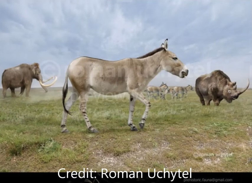 Screenshot 1ass ice age