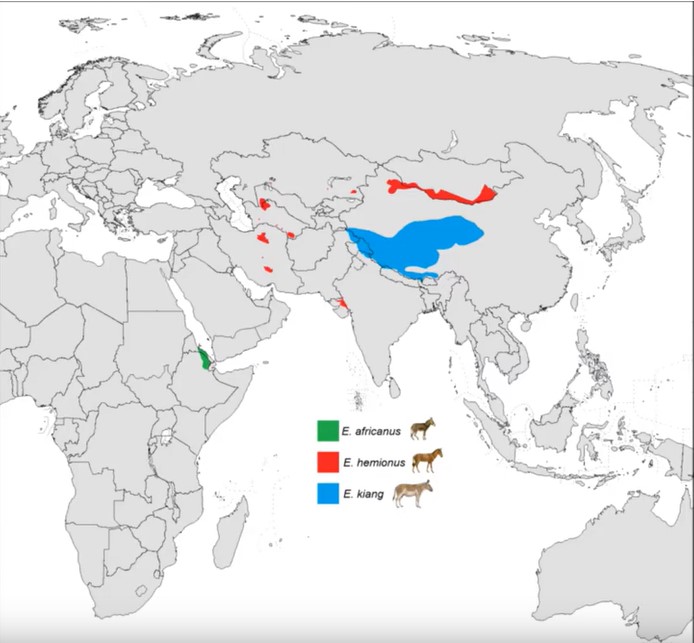 Screenshot 1europeam wild as map