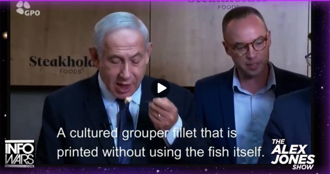 Screenshot 1fish bgt