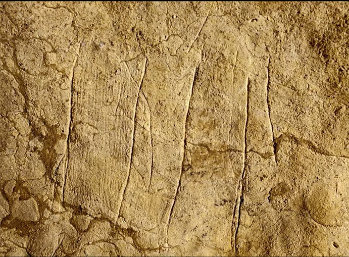 Screenshot 1lineses