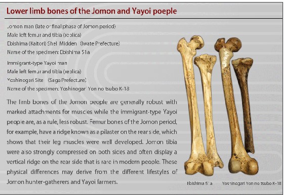 Screenshot 1lowerbones