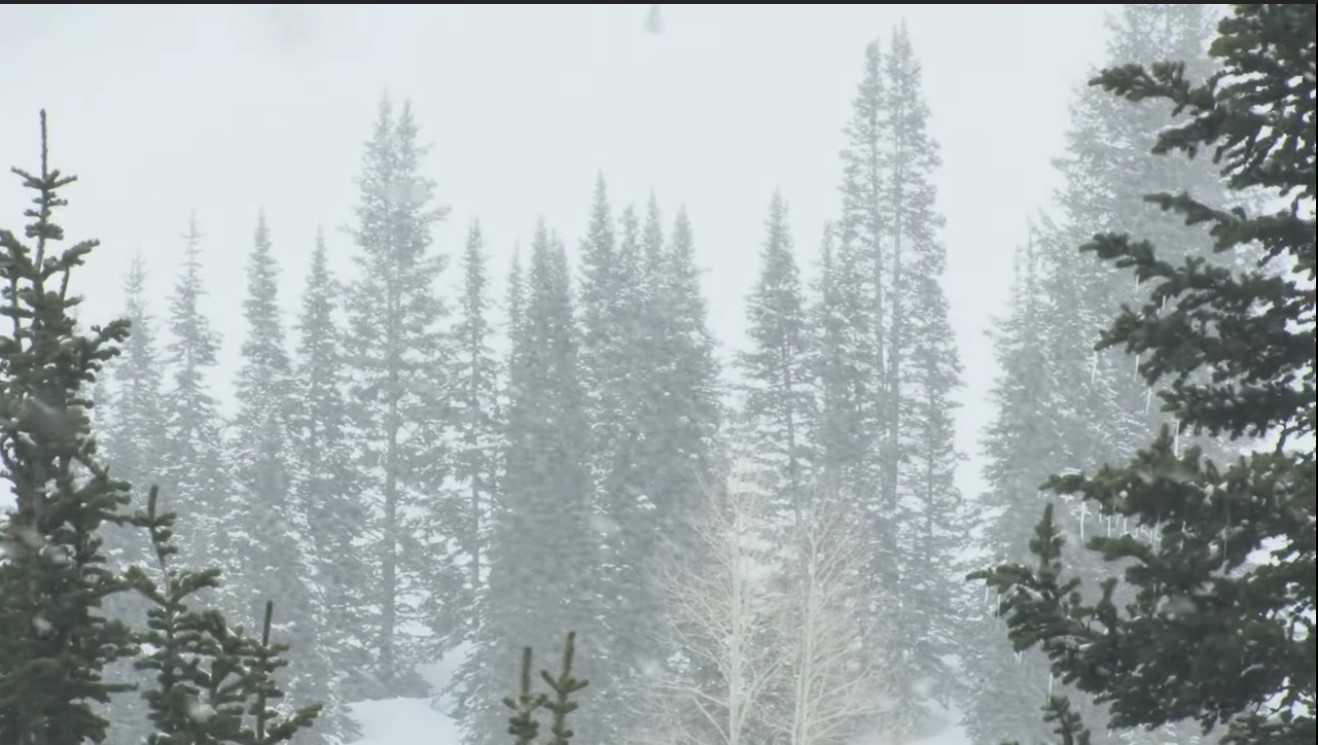 Screenshot 1snowing v