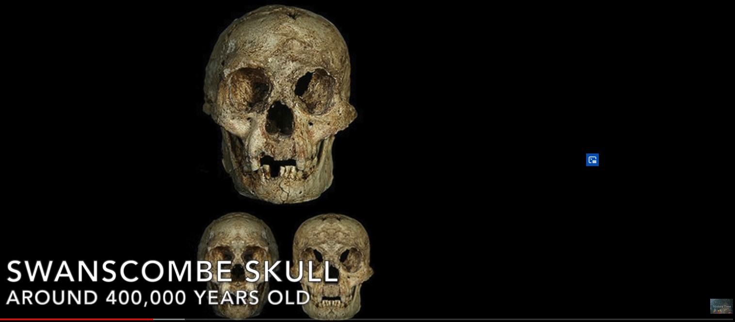 Screenshot 1swanscombe skull