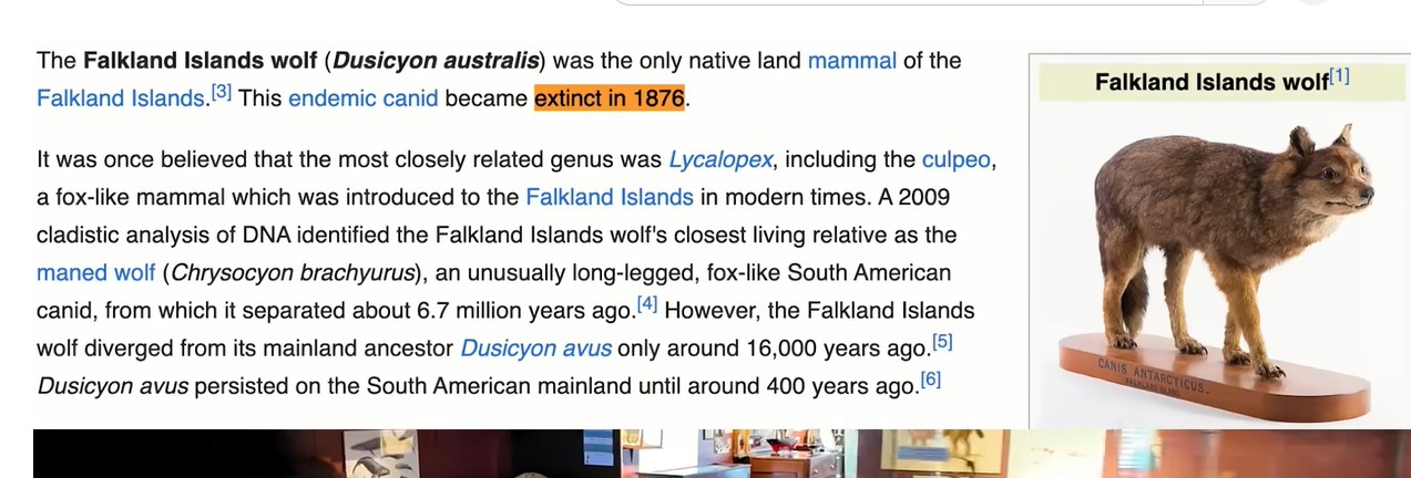 Screenshot 2f l wolf