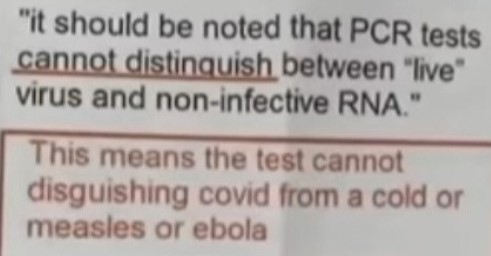 Screenshot 3pcr test