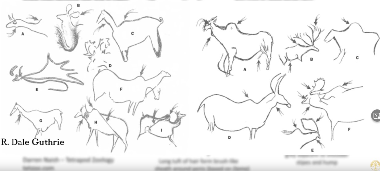 Screenshot 6cave paintings of i der