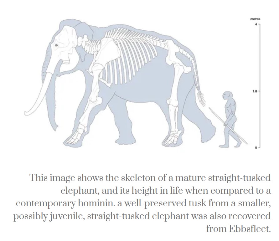 Screenshot 7elephoned killed by whites