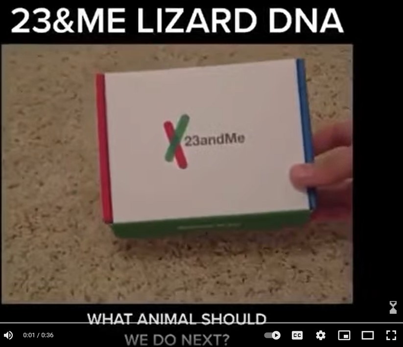 Screenshot 8lizard dna