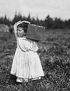 Child Labour Farming