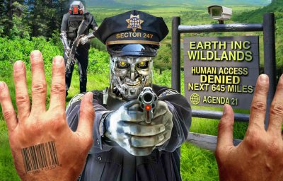 David Dees Agenda 21