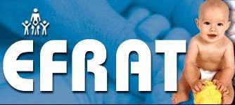 Efrat Organisation