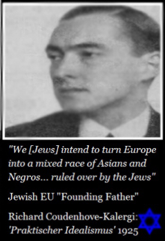 Kalergi Quote