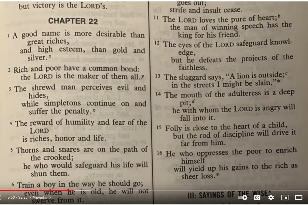 Screenshot 10bible lawsd