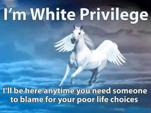 White Privilege Pegasus